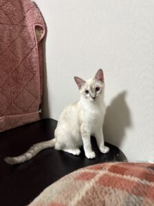 IMG_0135