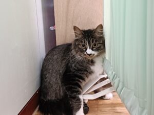 IMG20250514095204