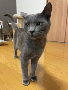 IMG_5769