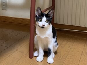 IMG_7310
