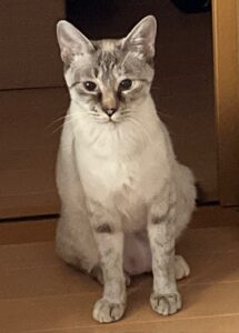 こん①９月26日