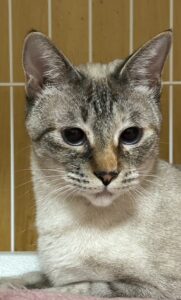 こんちゃん①１２月