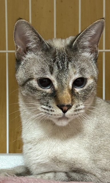 こんちゃん①１２月