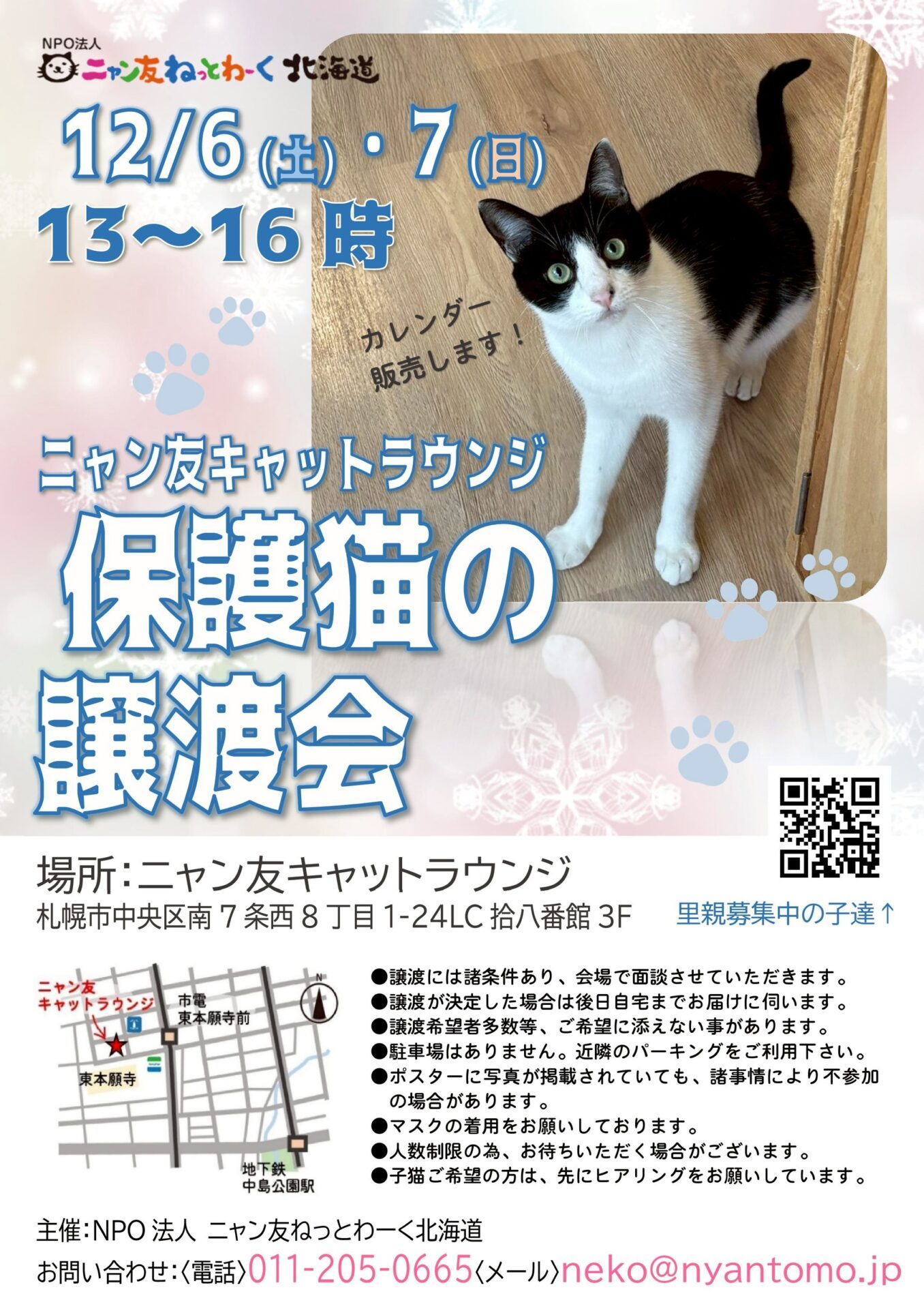 にゃん友 ニャン友ねっとわーく北海道 – 保護猫とあなたを繋ぐ～北海道で猫と