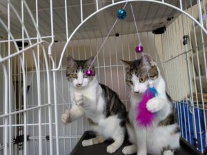 PXL_20260223_071932125