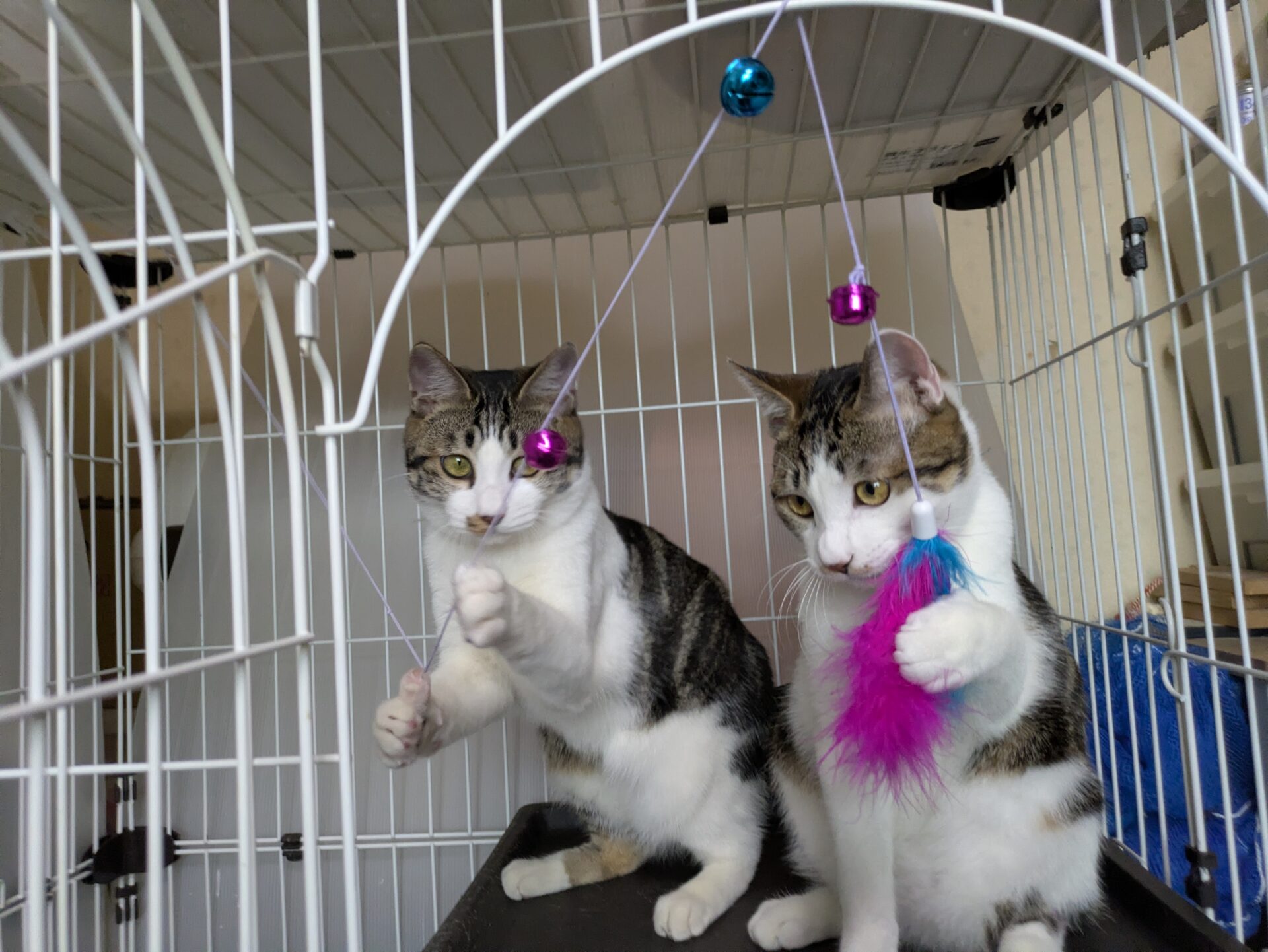 PXL_20260223_071932125