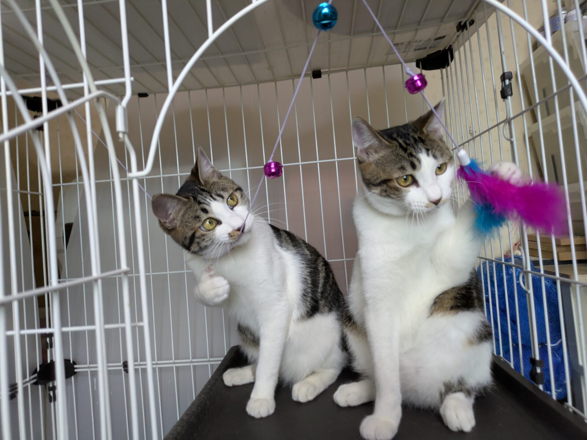 PXL_20260223_071934054