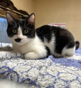 訓子府はっちー３月