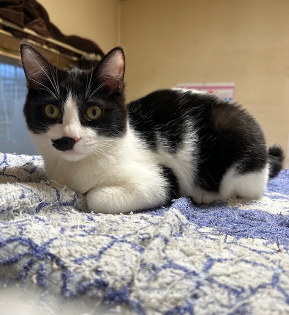 訓子府はっちー３月