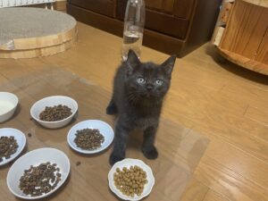 IMG_0126