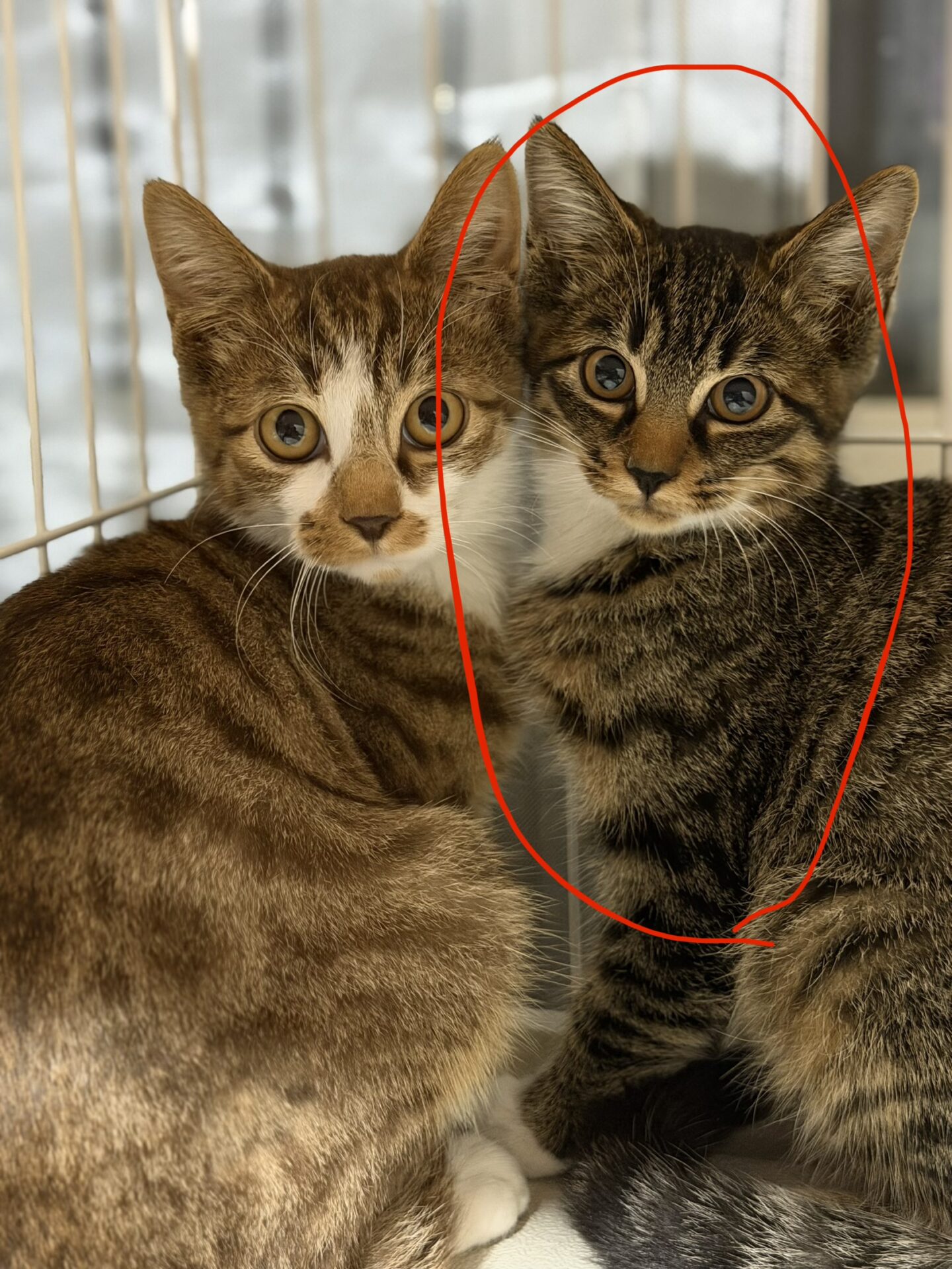 IMG_5624