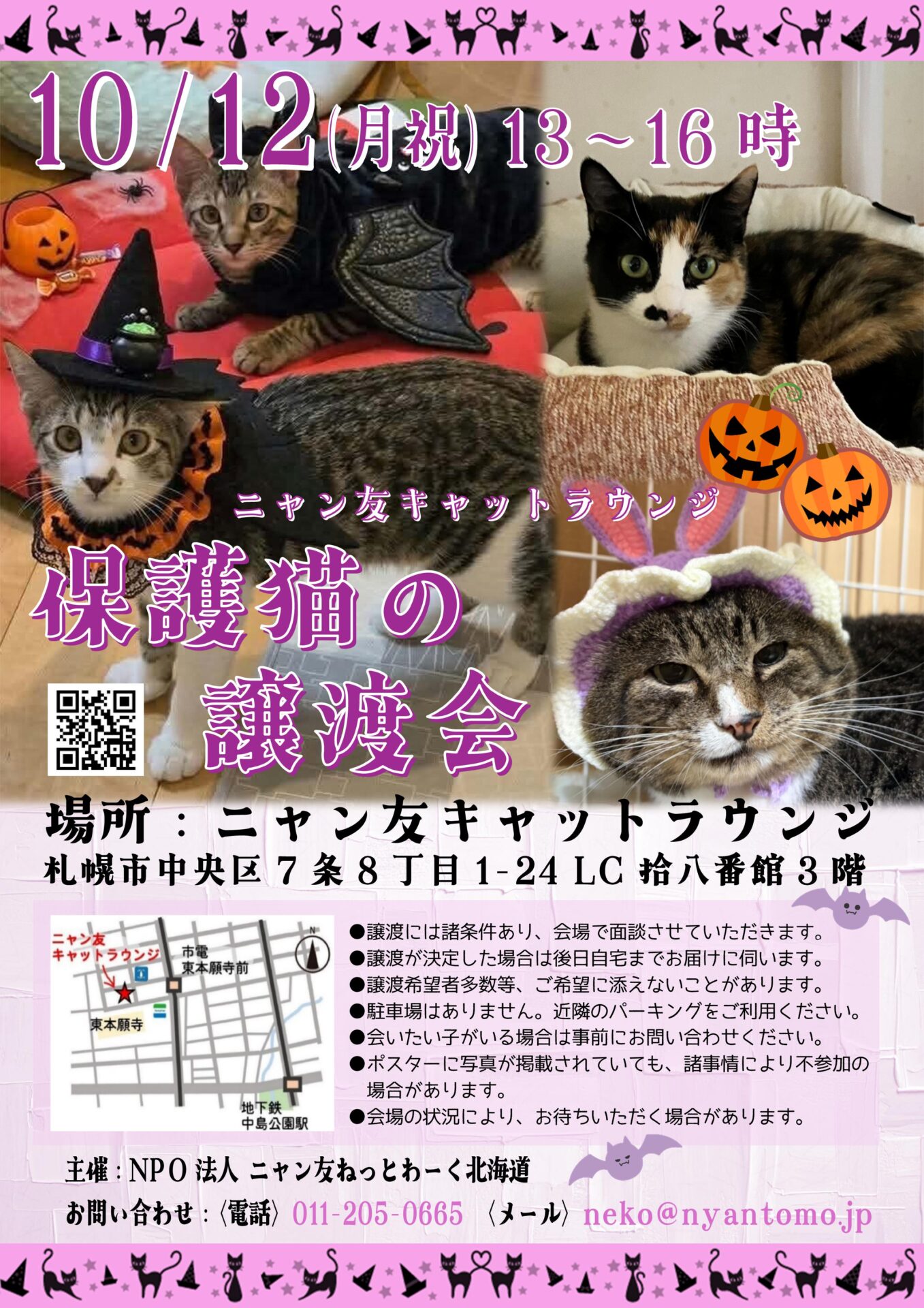 ニャン友ねっとわーく北海道 – 保護猫とあなたを繋ぐ～北海道で猫と