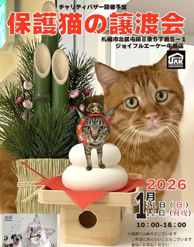ニャン友ねっとわーく北海道 – 保護猫とあなたを繋ぐ～北海道で猫と